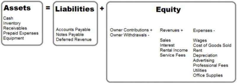 expense check meaning