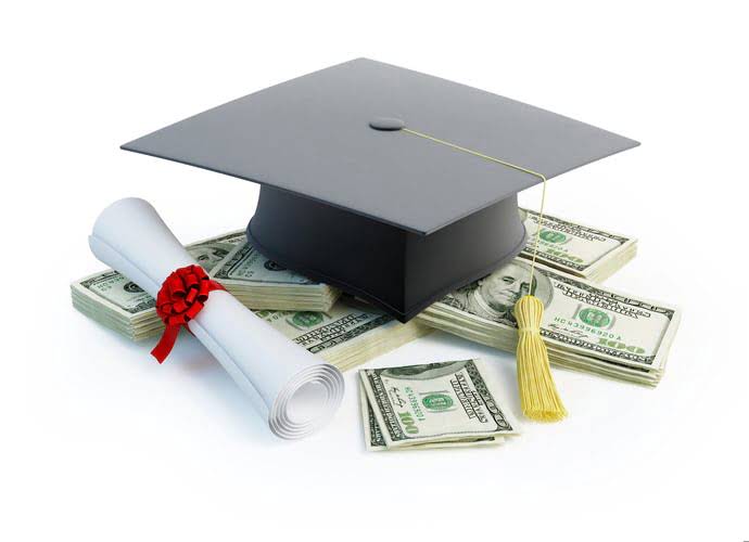 what is form 1065
