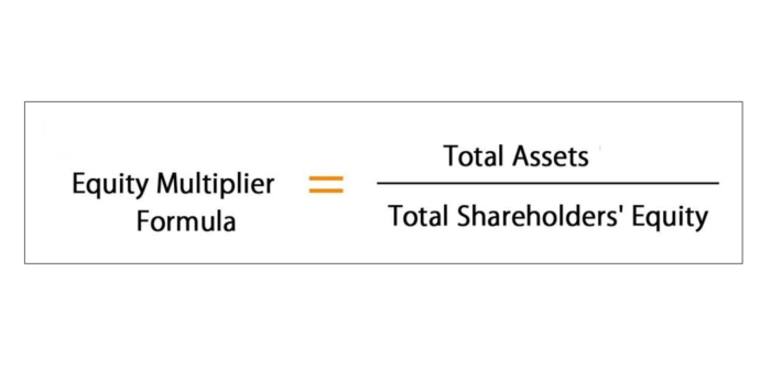 What is Equity Multiplier?