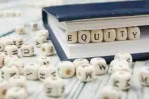 Explanation and Calculation of the Owner’s Equity