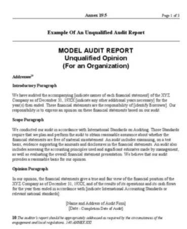 Financial Statements Audit Report