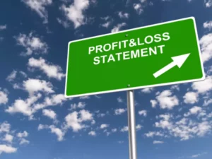 What is the Profit and Loss Statement (P&L)