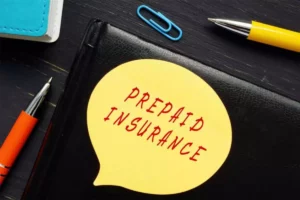 Explanation of Prepaid Insurance with Example
