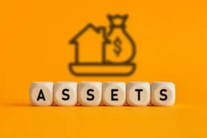 Fixed Assets – Explanation and Examples