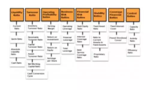 Financial Ratio Analysis