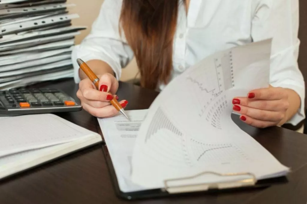 What defines a professional bookkeeper?