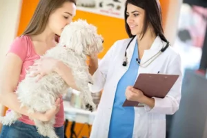 Bookkeeping for Veterinarians: A Detailed Guide and Key Tips