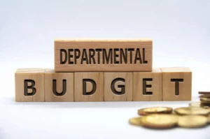 What is a Departmental Budget?